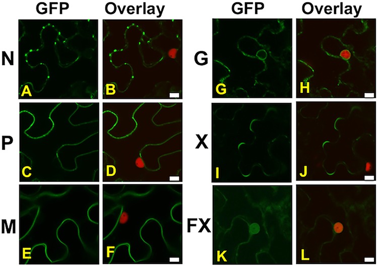 FIG 6