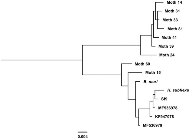 FIG 3