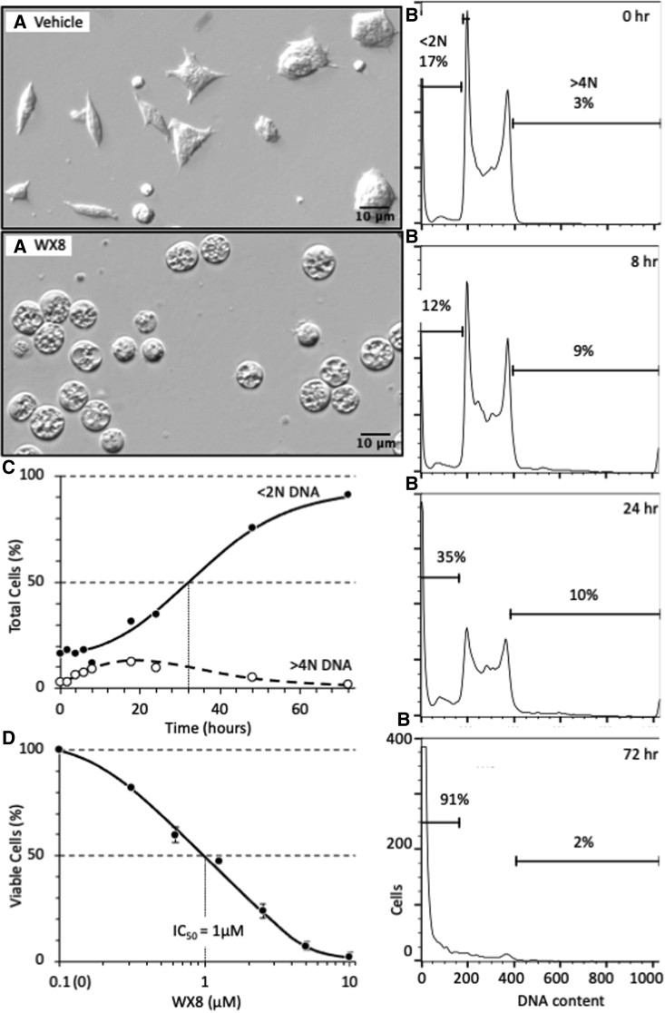 Figure 1