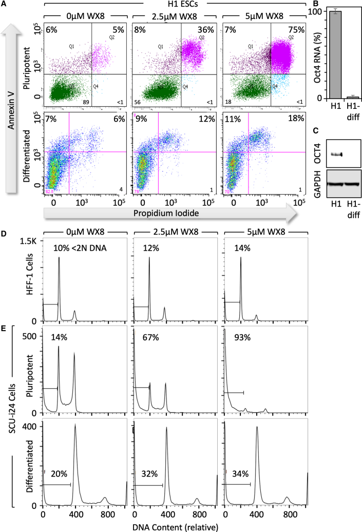 Figure 4