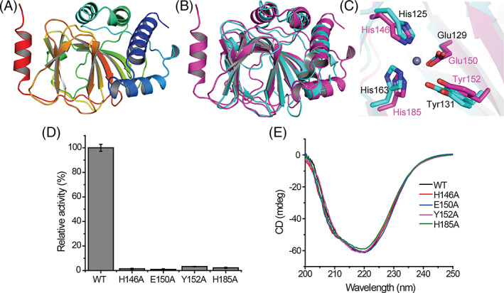 FIGURE 3