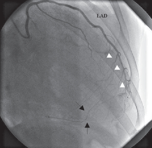 Figure 2)