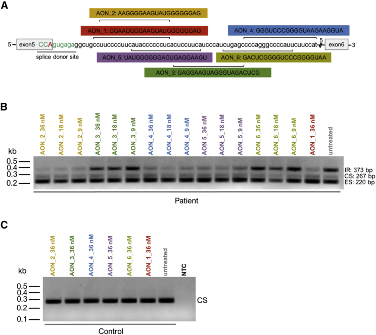 Figure 3