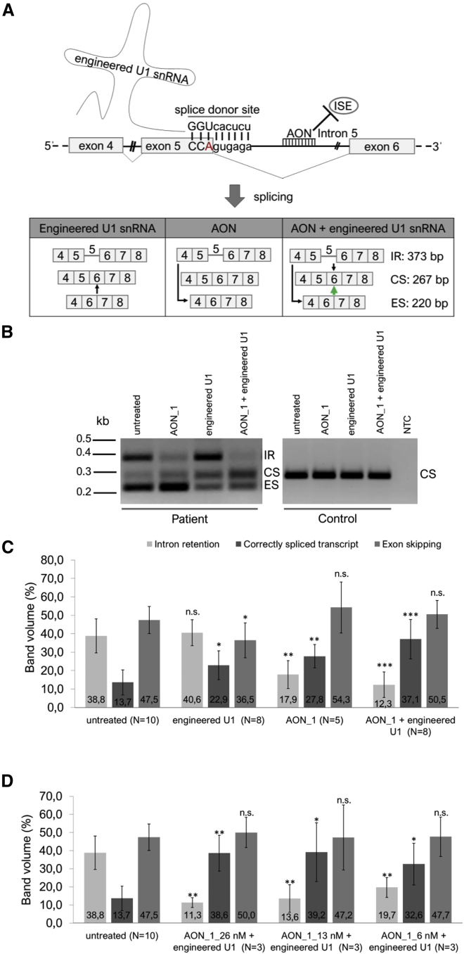 Figure 5