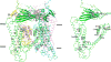 Extended Data Figure 7