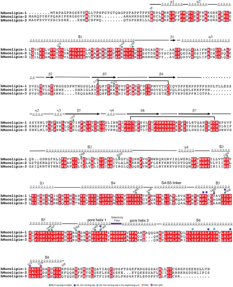 Extended Data Figure 1