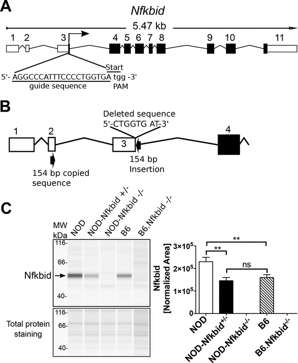 Figure 3: