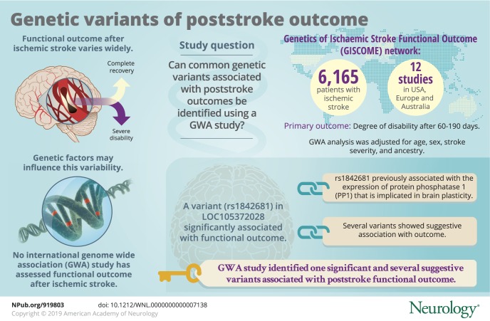 graphic file with name NEUROLOGY2018919803FFU1.jpg