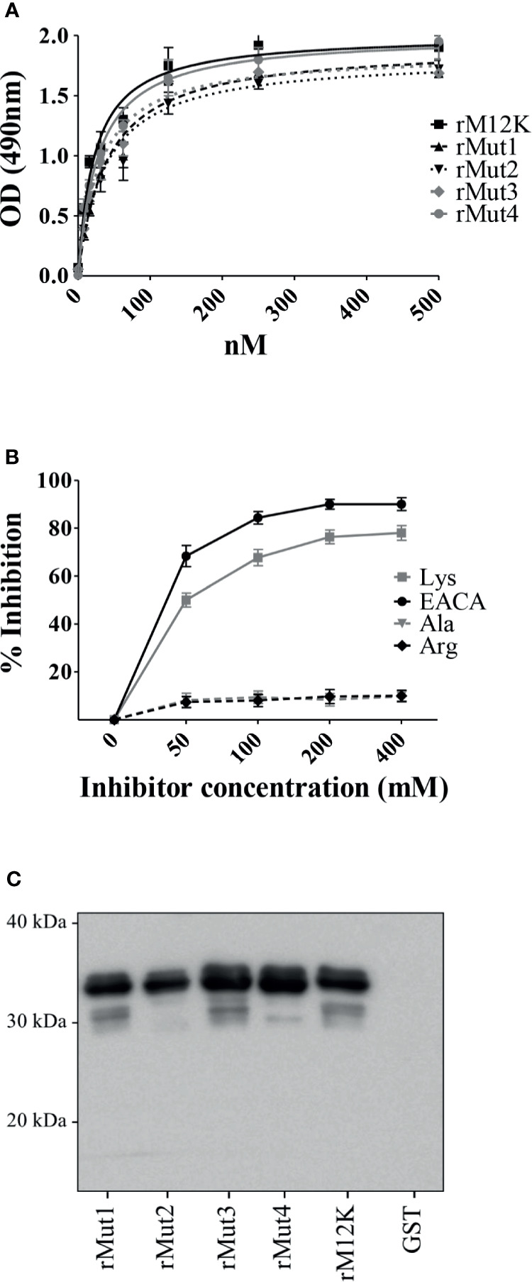 Figure 4