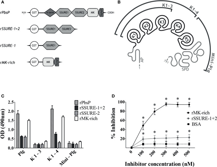 Figure 1