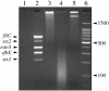 FIG. 2.