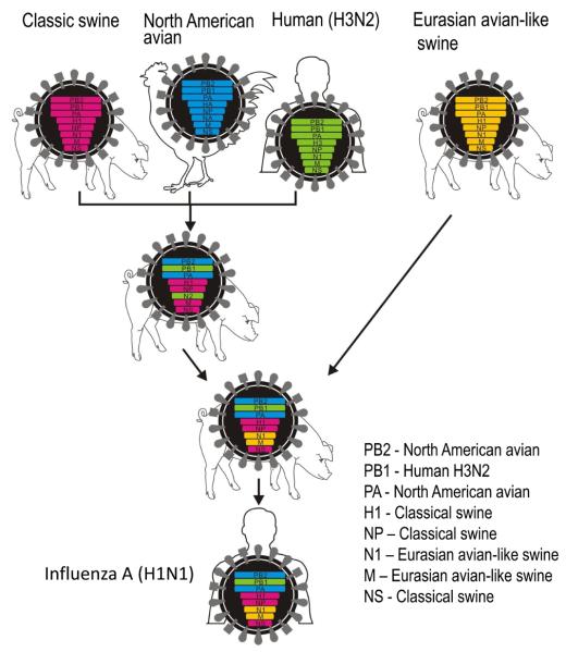 Fig. 4