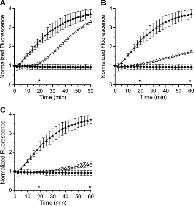 FIG 3 