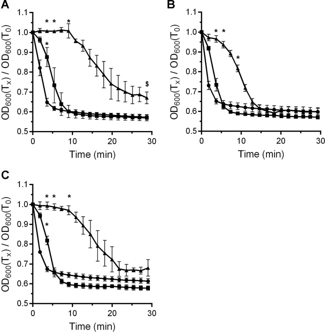 FIG 2 