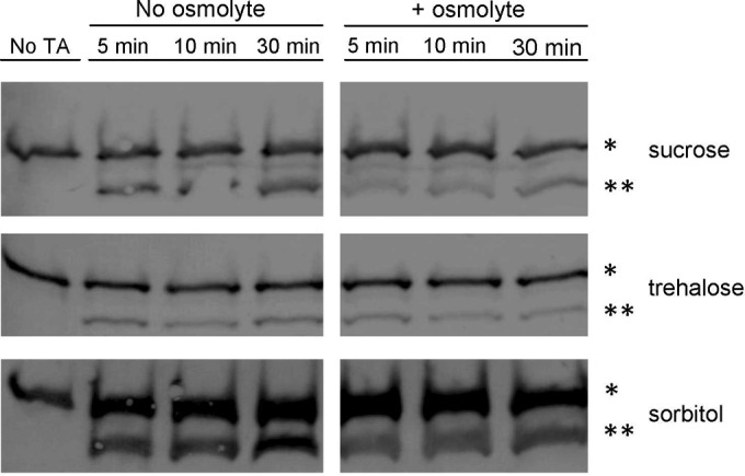 FIG 4 