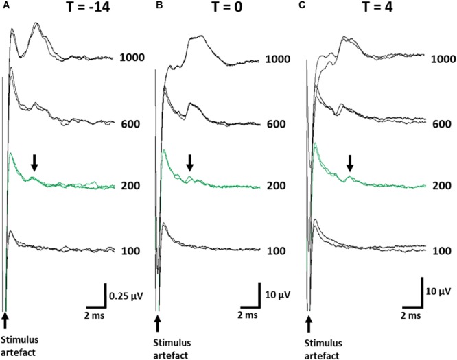 FIGURE 3