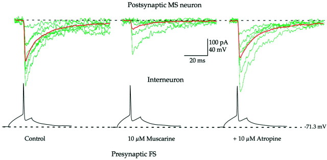 Fig. 3.