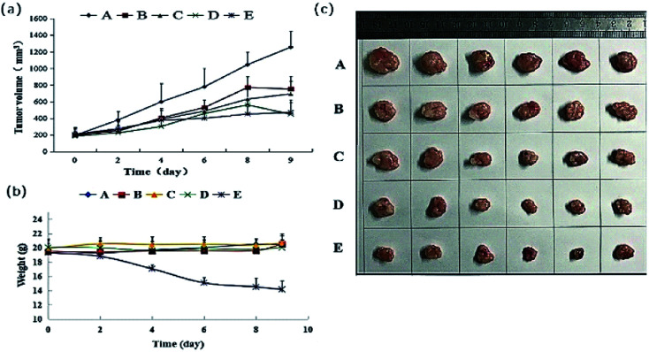 Fig. 6