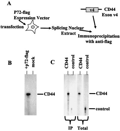 FIG. 7.