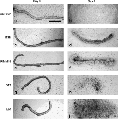 FIG. 7.