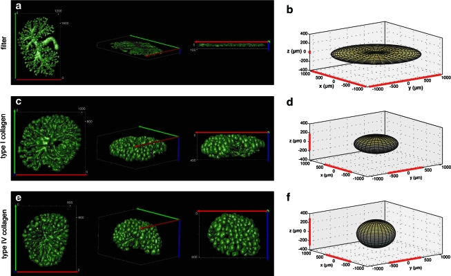 FIG. 9.