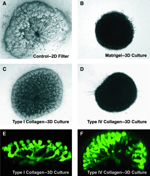 FIG. 10.