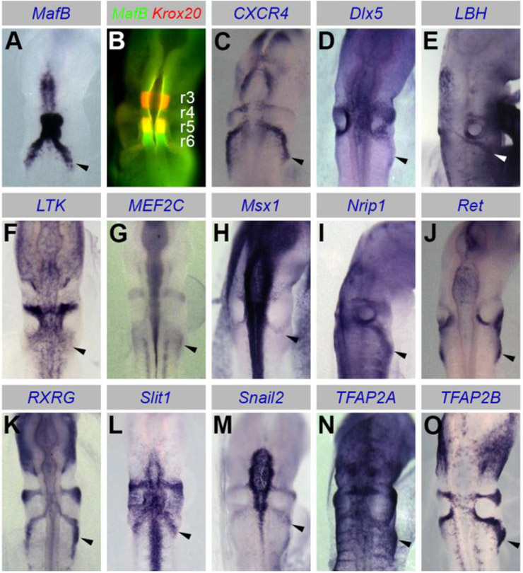 Figure 2.