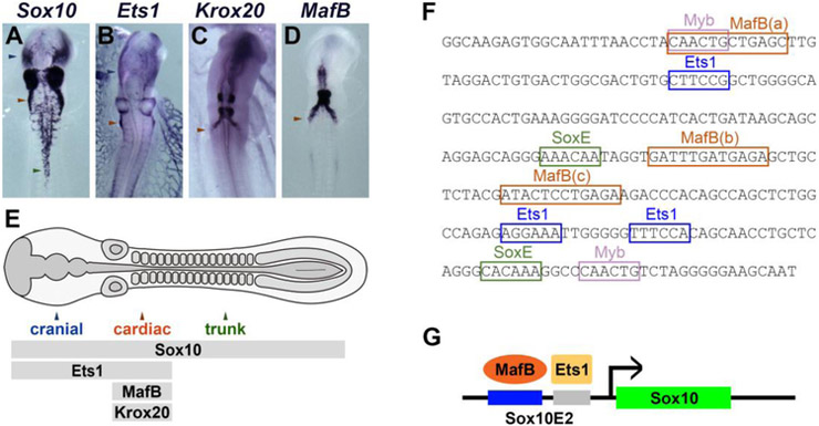 Figure 6.