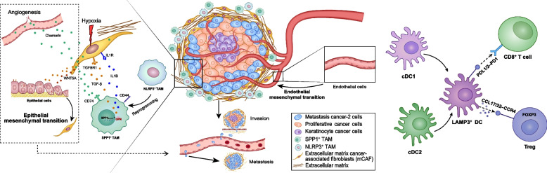 graphic file with name 12964_2023_1312_Figa_HTML.jpg