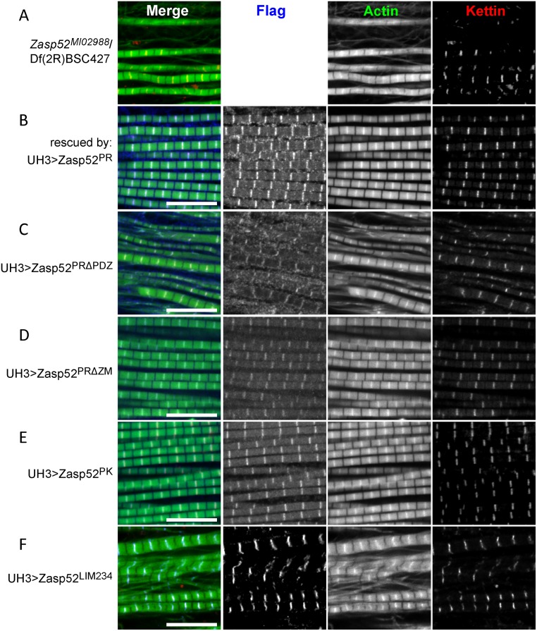 Fig 8