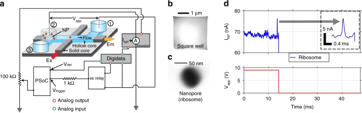 Fig. 1