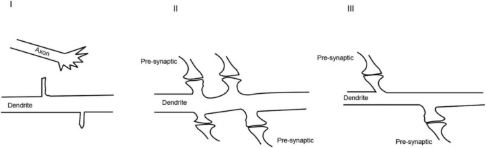 FIGURE 3