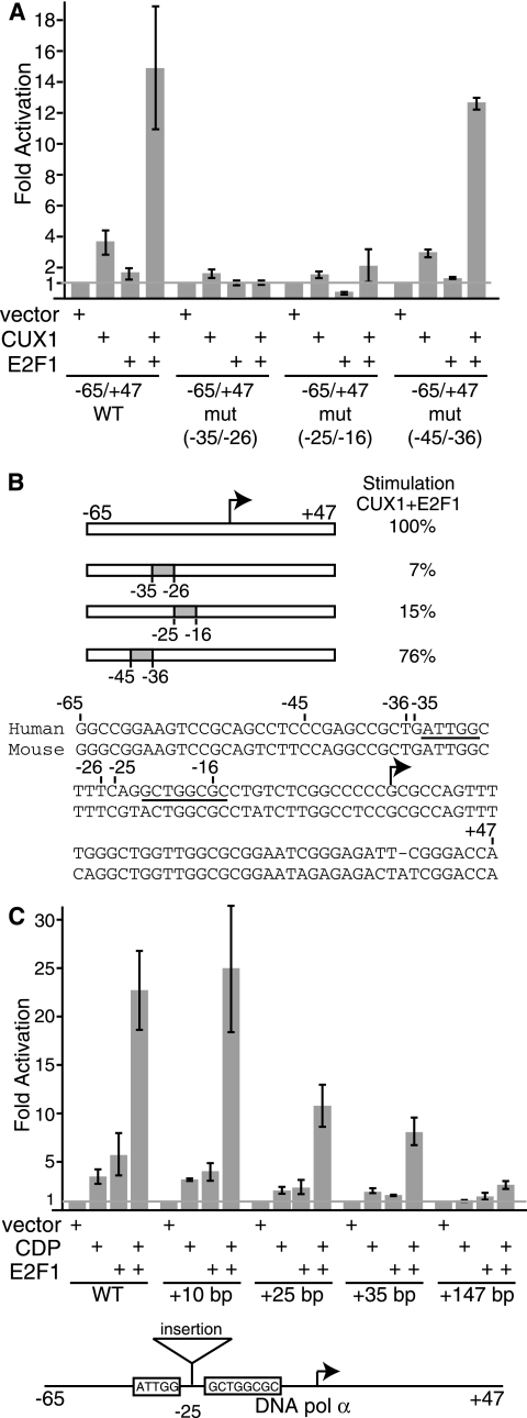 FIG. 2.