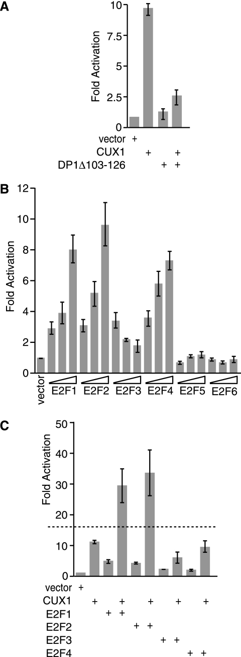 FIG. 1.