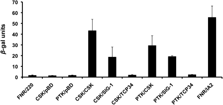 FIG. 3.—