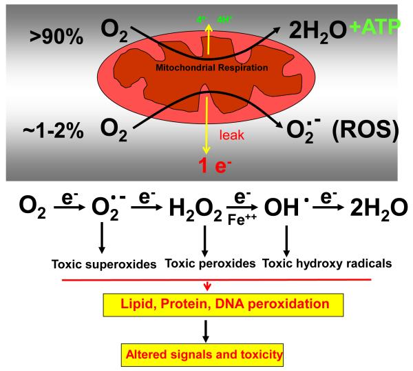 Figure 2a