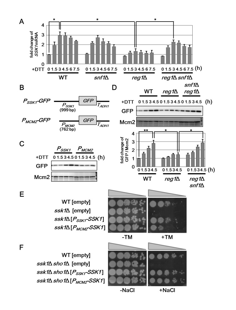 Fig 7