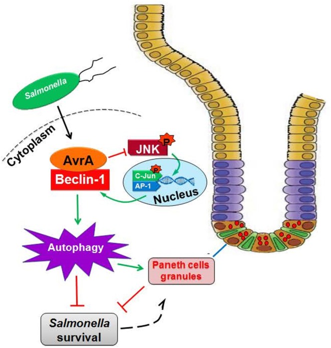 Figure 7