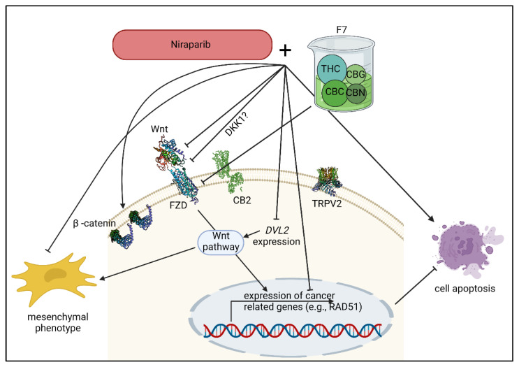 Figure 13