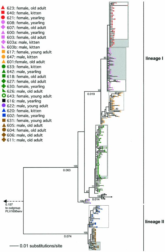 FIG. 3.