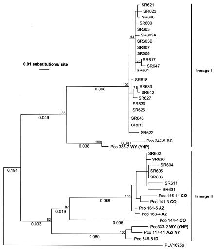 FIG. 2.