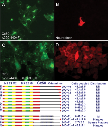 FIGURE 3: