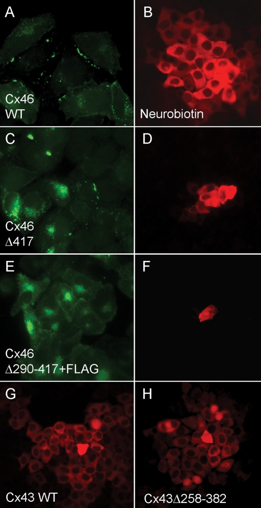 FIGURE 2: