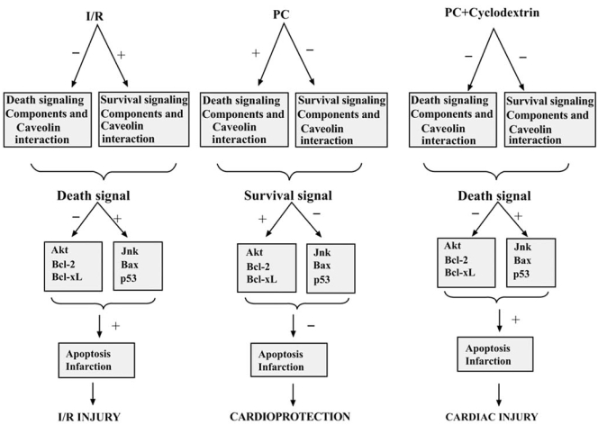 Fig. (1)