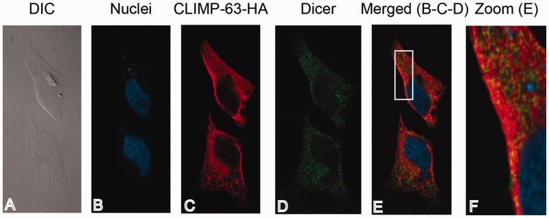 Figure 7.