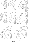 Figure 12.