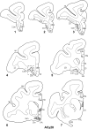 Figure 13.