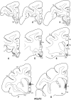 Figure 10.
