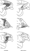 Figure 14.