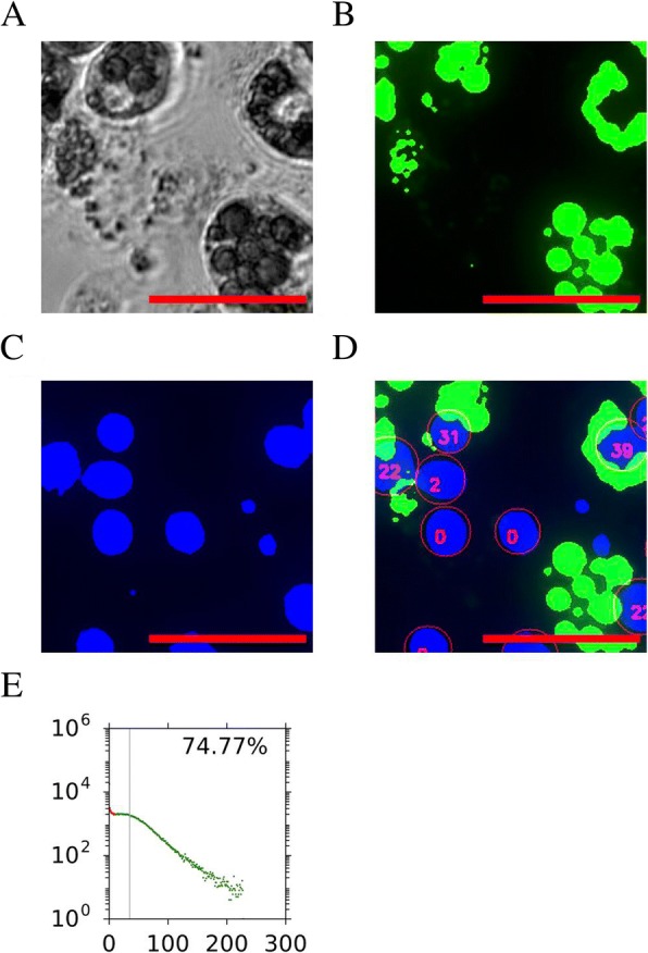 Fig. 2